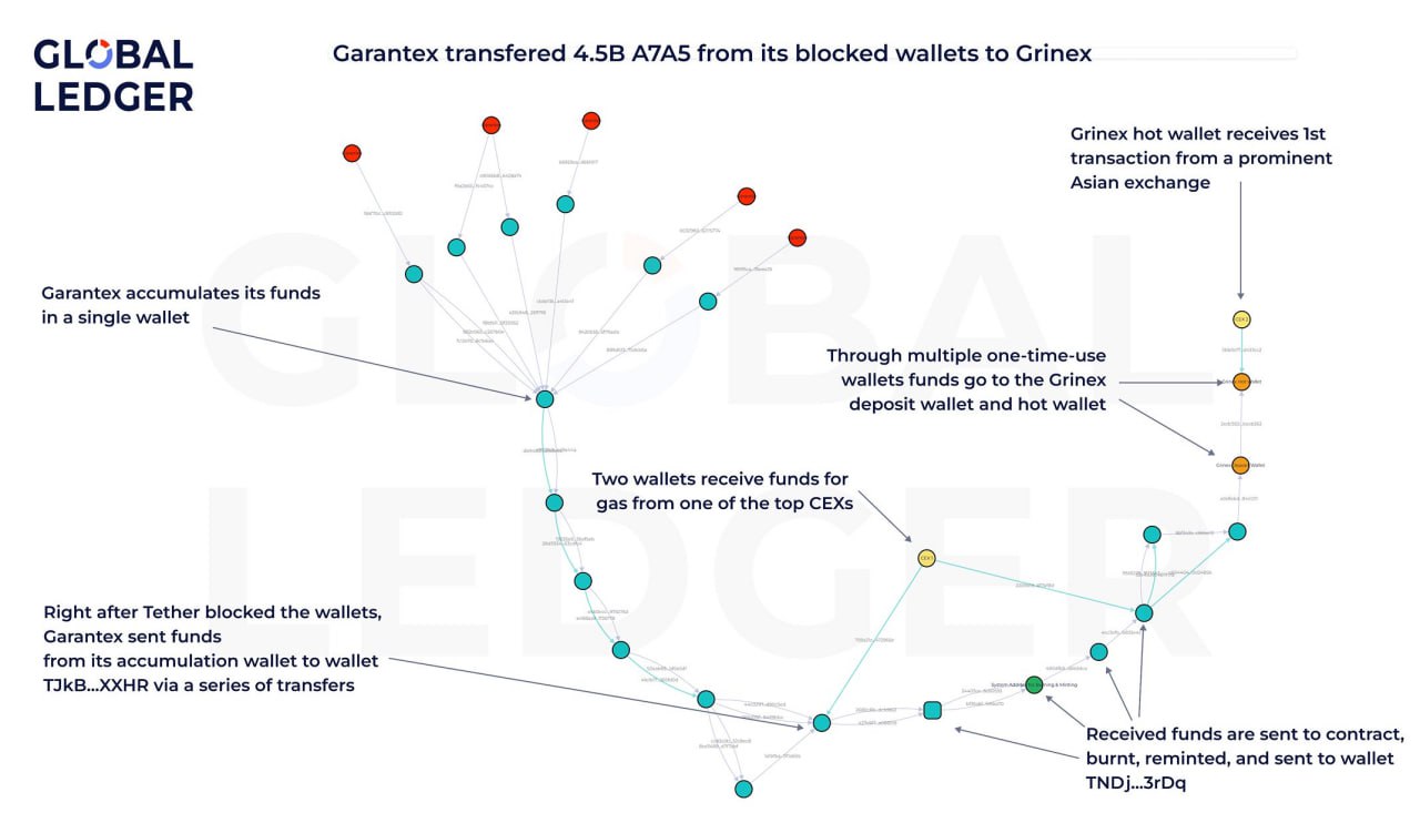 Garantex станет Grinex — аналитики Global Ledger отследили потоки криптовалют по кошелькам биржи и пришли к выводу о скором перезапуске под новым брендом.  После личных встреч в офисах компании клиентов перенаправляют на Grinex — выплаты после недавней блокировки USDT будут производиться уже на новой платформе, которая прямо сейчас уже обработала транзакций на $36 млн.