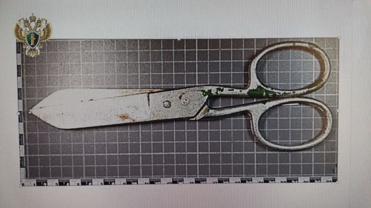 Прокуратура направила в суд уголовное дело о жестоком убийстве   Минераловодская межрайонная прокуратура утвердила обвинительное заключение в отношении 53 летнего жителя округа Он обвиняется по ч 1 ст 105 УК РФ убийство По версии следствия в октябре 2025 года в одном из домовладений поселка Ленинского двое мужчин распивали спиртные напитки В ходе застолья между ними произошел конфликт Во время ссоры обвиняемый нанес оппоненту не менее двух ударов портновскими ножницами в шею От полученных телесных повреждений потерпевший скончался на месте происшествия Уголовное дело направлено прокурором в суд для рассмотрения по существу организовано поддержание государственного обвинения  Санкция ч 1 ст 105 УК РФ предусматривает наказание в виде лишения свободы сроком до 15 лет   Сайт Тelegram ВК Обратиться в прокуратуру