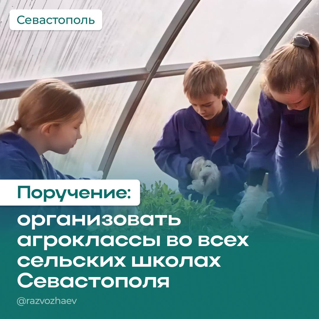 На аппаратном совещании правительства поручил создать агроклассы во всех сельских школах Севастополя Сейчас два агротехнических класса работают в школе № 59 в Терновке. Здесь выращивают овощи, фрукты и даже виноград: для этого специально купили биовегетарий и лабораторию с гидропонной установкой. В школе № 36 в Хмельницком и в школе № 55 во Фронтовом ученики 7-9 классов проходят углублённое обучение по программам дополнительного образования. В школе № 23 ученики 9-11 классов ходят на курс «Менеджмент в виноградарстве». С нового учебного года появятся ещё два агрокласса — один в школе № 17 в Сахарной Головке, второй в балаклавской школе № 30. Убеждён: такие классы необходимо сделать во всех сельских школах Севастополя. Возможно, стоит создать отдельную программу, чтобы в школах были теплицы, а ребята из губернаторских школьных трудовых отрядов могли работать на предприятиях, которые получают господдержку. Детям нравится аграрное направление, поэтому важно проработать этот вопрос.