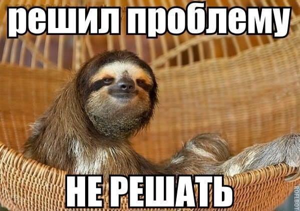 Сегодня Международный день ленивца Официальный повод ничего не делать прямо в понедельник 1337