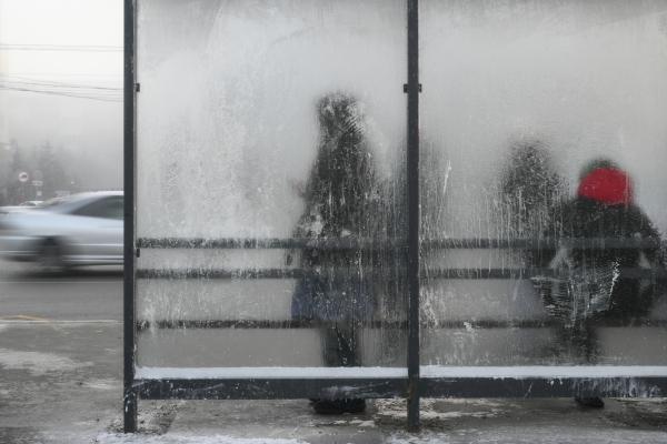 Синоптик заявил о первых зафиксированных декабрьских заморозках в Москве Столбики термометров опустились ниже ноля прошедшей ночью Такие данные в своём Telegram канале привёл ведущий специалист центра погоды Фобос Михаил Леус По данным базовой метеостанции города ВДНХ минимум составил минус 0 3 градуса На других метеостанциях мегаполиса было от минус 0 1 градуса на Балчуге до минус 1 2 градуса в Бутове говорится в публикации Подписаться на Говорит Москва Telegram VK MAX