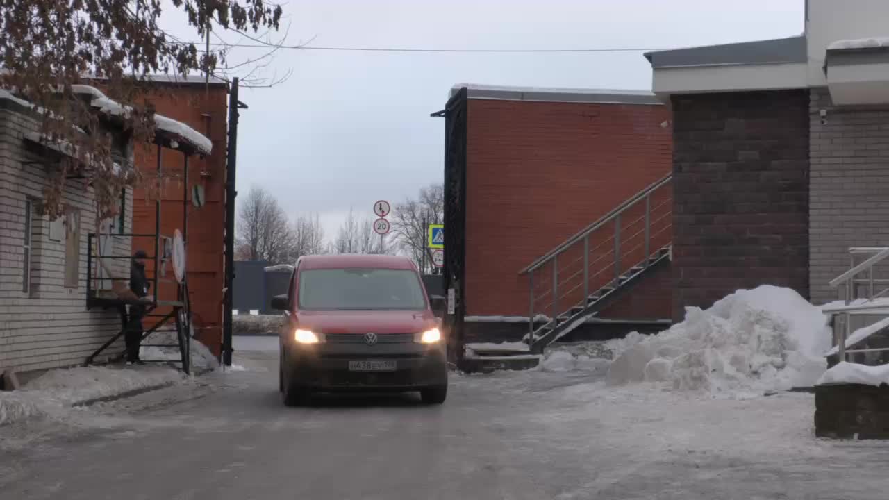 Манул Пепе из Барнаула отправляется в Санкт-Петербург для сохранения вида