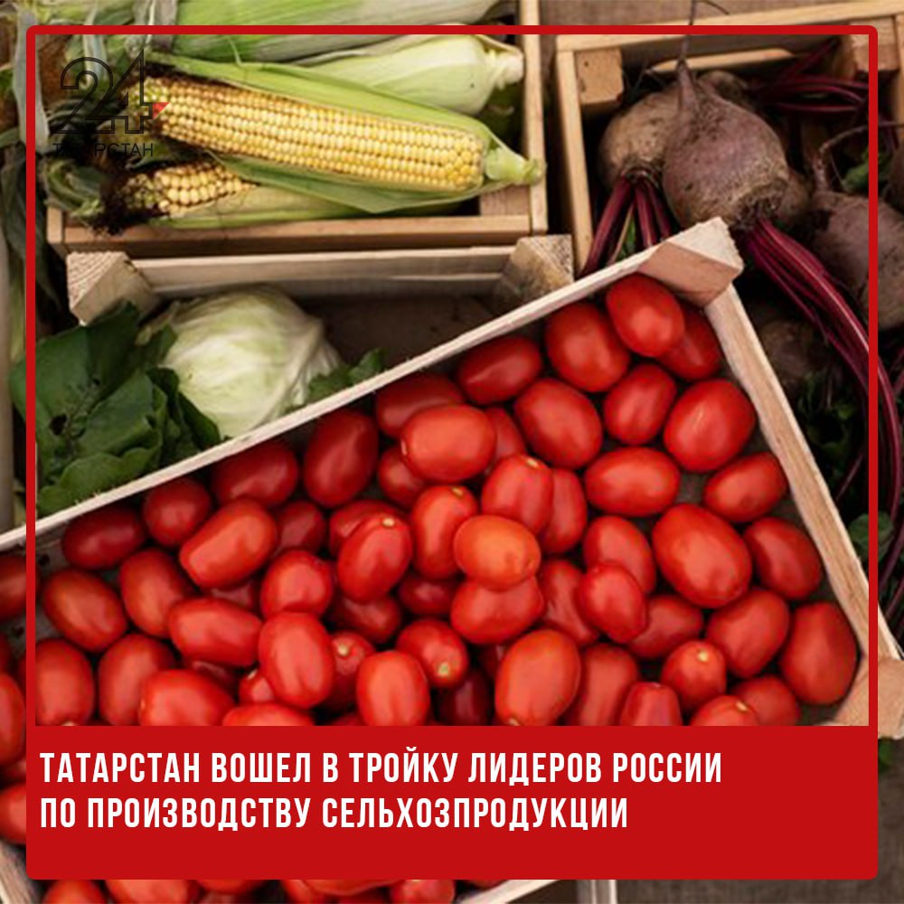 Татарстан вошел в тройку лидеров России по производству сельхозпродукции  Татарстан вошел в тройку лидеров России по объему производства сельхозпродукции в 2024 году. Об этом сообщил министр сельского хозяйства и продовольствия РТ Марат Зяббаров на заседании коллегии Минсельхозпрода республики.  «Объем валовой продукции сельского хозяйства превысил 341 млрд рублей, сопоставимый рост – 110,1%», – отметил министр.  Он подчеркнул, что для дальнейшего укрепления позиций Татарстана в этом году необходимо обеспечить дополнительный рост на 3%.  «Сегодня, когда на продовольственную безопасность страны обращено особое внимание, Татарстан при всей приоритетной поддержке своего агропромышленного комплекса имеет хороший фундамент для наращивания производства и увеличения вклада в продовольственный рынок России», – заявил Зяббаров.  Министр добавил, что если учитывать пищевую промышленность, то за прошлый год в Татарстане произведено продукции АПК на сумму 682 млрд рублей.  «Это около 7% вклада нашей отрасли в валовый региональный продукт Татарстана. А за последние три года объемы сельхозпроизводства выросли на 29%», – заключил он.   -24