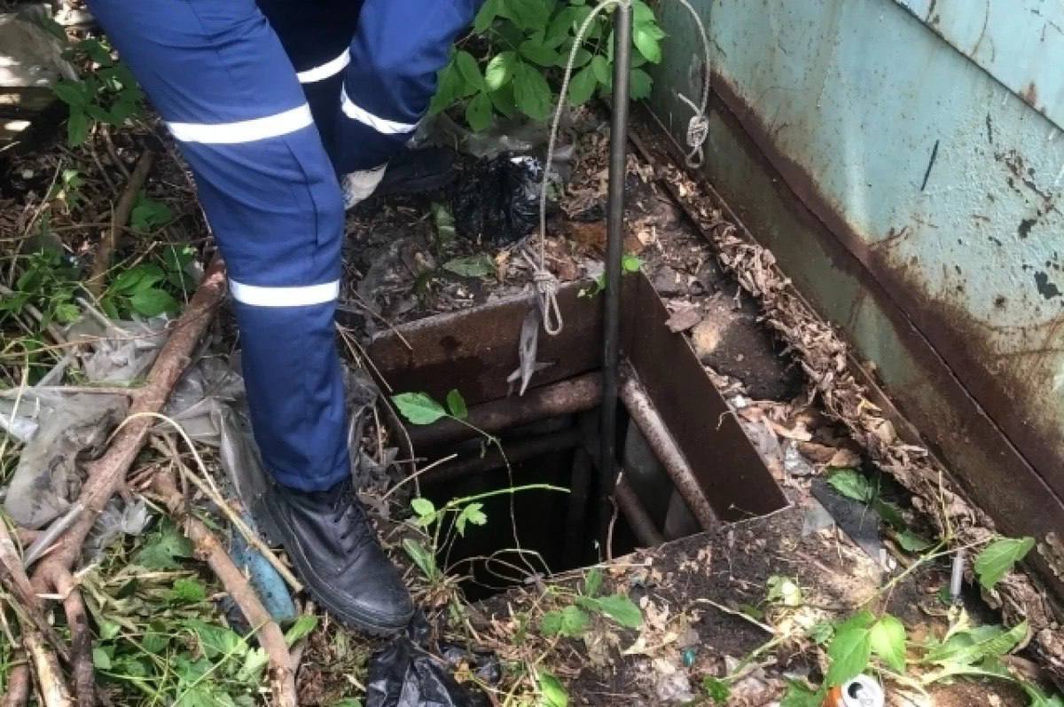 В Пензе спасли пса, угодившего в яму. На 3-м Батаевском проезде в Пензе собака провалилась в яму во дворе частного дома. На помощь приехали спасатели. Спустившись вниз, сотрудники Пензенского пожарно-спасательного центра аккуратно подняли животное на носилках и вернули испуганного хвостика хозяевам. Всё закончилось хорошо. Подписаться Прислать новость