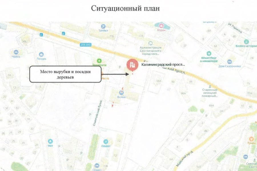 На Калининградском проспекте в Светлогорске разрешили вырубить 107 деревьев Власти Светлогорска одобрили вырубку 107 деревьев на Калининградском проспекте, 68б, напротив здания администрации муниципалитета. Порубочный билет выдан компании «ТВ-Строй» 16 мая 2025 года и действует до 30 января 2028-го. Вырубка запланирована на земельном участке с кадастровым номером 39:17:010021:68 с целью строительства комплекса апартаментов.