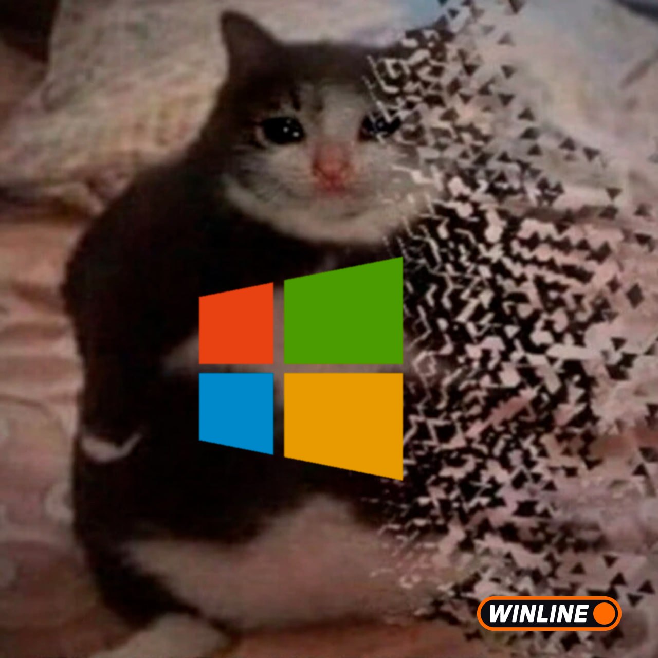 Windows 10 умрёт через месяц 14 октября Microsoft прекратит поддержку ОС Обновления безопасности и другие патчи больше выпускаться не будут давно надо было переходить на 11 не надо дядя