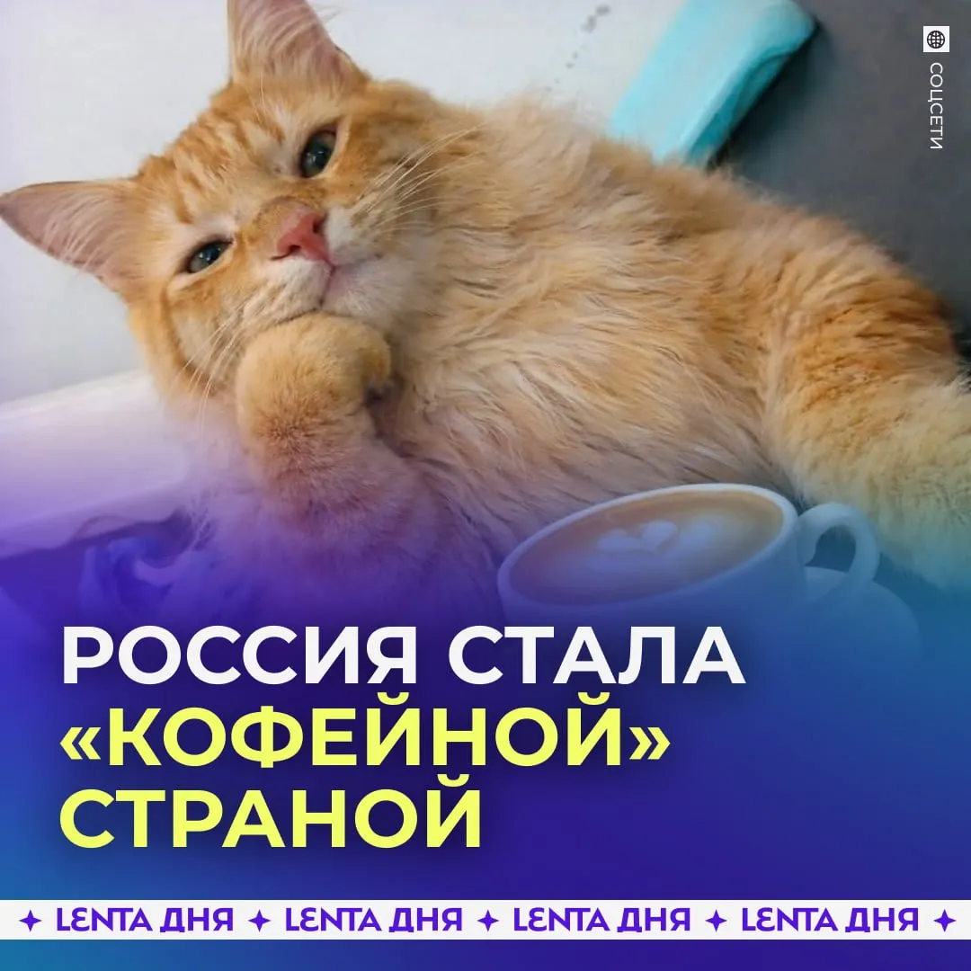 В России кофе окончательно обогнал по популярности чай Кофе занял нишу основного утреннего и делового напитка Переломный момент произошёл в 2016 году когда объём импорта кофе впервые превысил объём ввоза чая на 4 Это связано не только с экономическими причинами но и с изменением потребительских привычек считают эксперты Россияне постепенно перешли от растворимого кофе к культуре зернового напитка и стали проявлять интерес к отборным сортам Кроме того качественный кофе стал доступен практически в каждом городе А вы на чьей стороне   кофе чай Подпишись на Ленту дня в МАКС