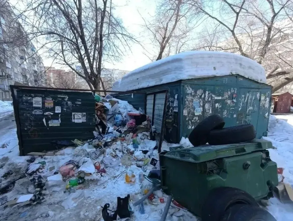 В АО САХ обвинили управляющие компании в беспорядке на контейнерных площадках Новосибирский регоператор по обращению с твердыми коммунальными отходами АО САХ заявил что новосибирские управляющие компании уже длительное время не обеспечивают должное содержание контейнерных площадок Жители жалуются на беспорядок а экипажам приходится копаться в горе мусора чтобы вывезти КГО По закону ответственность за порядок несет собственник контейнерной площадки но на деле эти обязанности исполняют не все Повлиять на это могут жители сообщайте о нарушениях в свою УК и требуйте регулярной уборки территории на контейнерной площадке ведь каждый житель ежемесячно платит за эту услугу в составе коммунальных платежей своей управляющей компании говорится в сообщении организации Подробнее по ссылке   ksonline ru 605662 v ao sah obvinili upravlyayushhie kompanii v besporyadke na kontejnernyh ploshhadkah