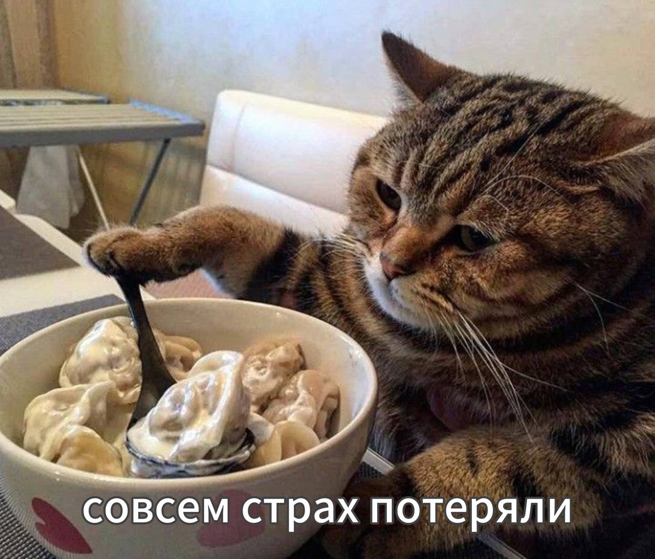 Ты не ты когда голоден петербуржец требует от продавца пельменей 19 тысяч рублей за неудавшийся ужин В сентябре прошлого года голодный молодой человек ждал курьера с заказом но так и не дождался Венцом этой драмы стало обращение мужчины с требованием вернуть деньги за пельмени и оплатить моральный вред 0 осуждение 100 понимания жаль что поздно