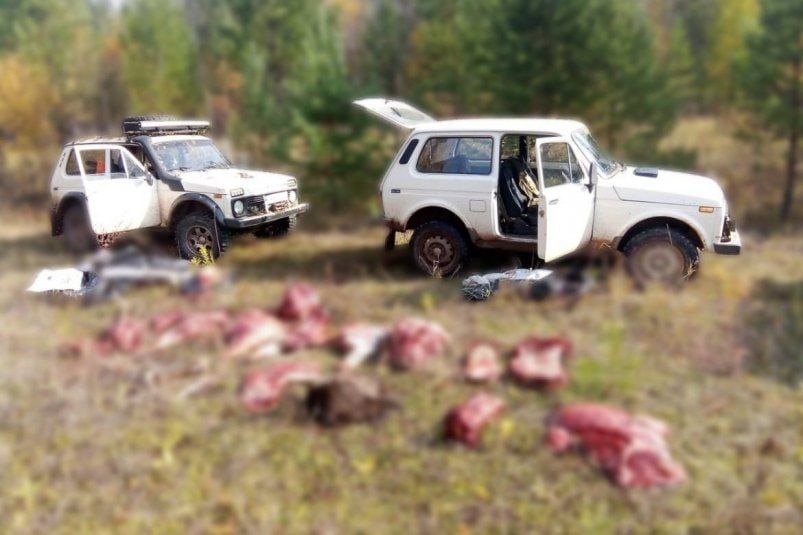 В Братском районе задержали браконьеров, которые устроили незаконную охоту на благородного оленя.   Возбуждено уголовное дело по факту добычи оленя без разрешения. На данный момент ведётся следствие.    Подписаться   Прислать новость