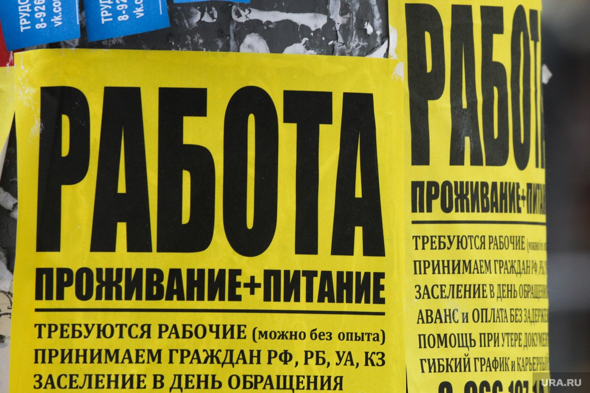 Аналитики назвали топ востребованных вакансий в ЯНАО  В ЯНАО с января по август текущего года лидерами по количеству опубликованных предложений о работе стали водители — 2,3 тысячи вакансий. На втором месте продавцы-консультанты — 1,6 тысячи вакансий.   Наибольшую среднюю зарплату готовы предложить водителям — 172 500 рублей. На втором месте машинисты — 168 800 рублей. Подробнее на URA.RU.  Подписаться   Прислать новость