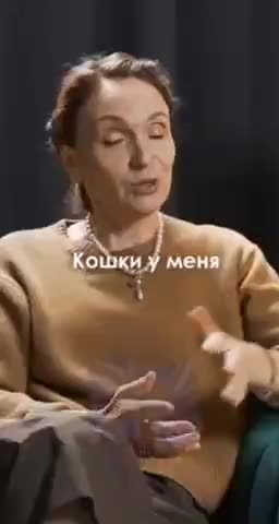 Евросоюз вводит санкции против российских кошек