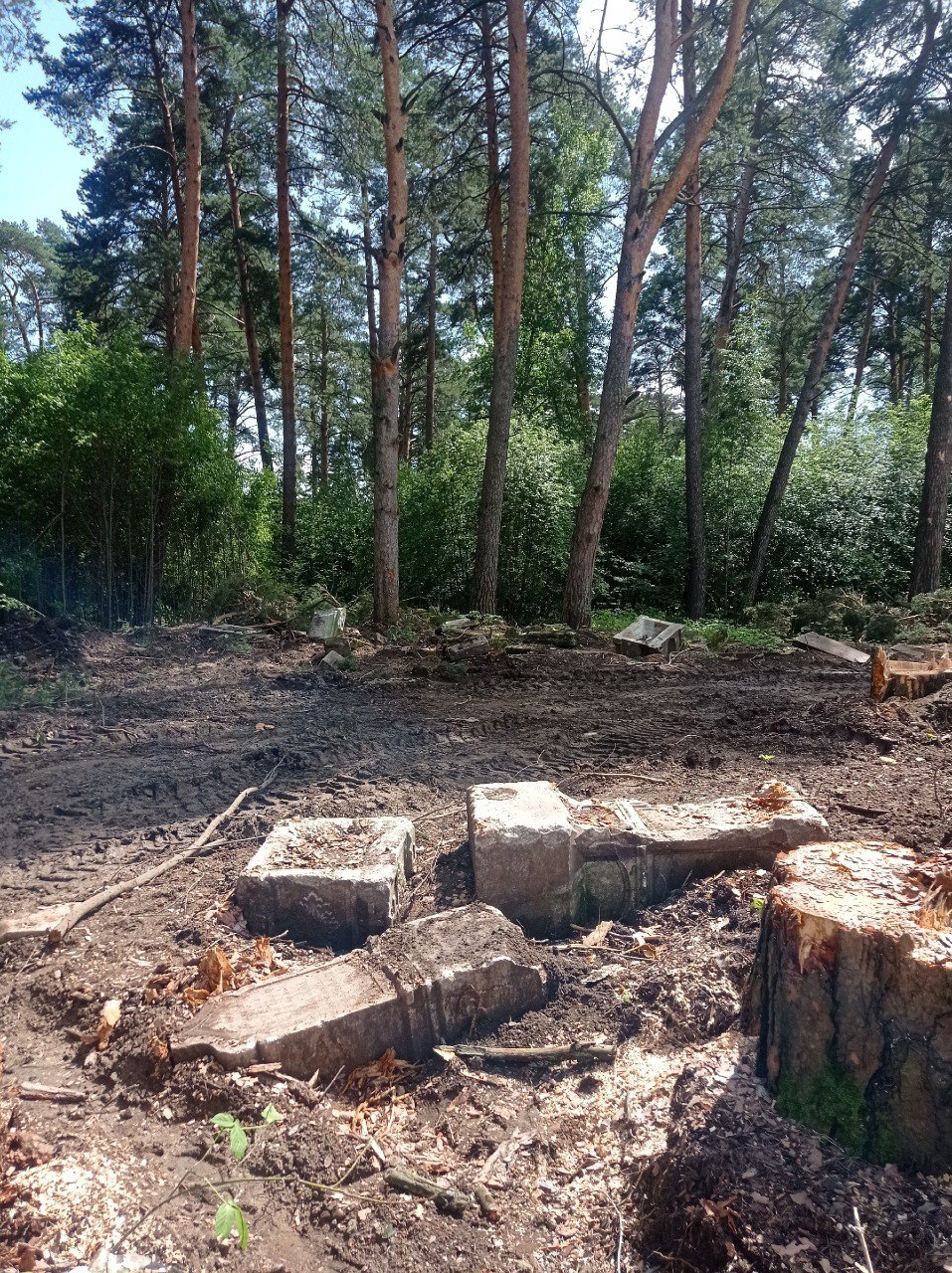 В Прикамье перекопали старинное кладбище и вырубили деревья. Местные жители возмущены отношением к памяти предков и уничтожением леса.   Инцидент произошел на территории бывшего Вознесенского кладбища в Кунгуре Пермского края. Срубленные вековые деревья, вывороченные надгробные плиты и тяжелую технику – все это застали участники крестного хода 29 июня. На уничтожение некрополя обратила внимание местная жительница Наталья Русецкая.   Вознесенскому некрополю почти два века. Он пережил разные периоды, в 1838 году на кладбище построили церковь, в которой в 1940 году хранили боеприпасы, а потом и вовсе отдали территорию телефонному заводу. Храм возобновил работу только в 2002 году, сейчас его здание относится к региональным объектам культурного наследия. А вот территорию кладбища раздробили на три части: одна часть является историко-ландшафтным комплексом под открытым небом «Вознесенский некрополь» и относится к Кунгурскому музею, вторая часть принадлежит Русской православной церкви и третья - находится в собственности у предпринимателя. Вот он-то как раз и решил все «облагородить» и взялся за перекопку кладбища и вырубку деревьев. Буквально несколько часов назад девушка сообщила, что вырубка продолжается и техника во всю работает.