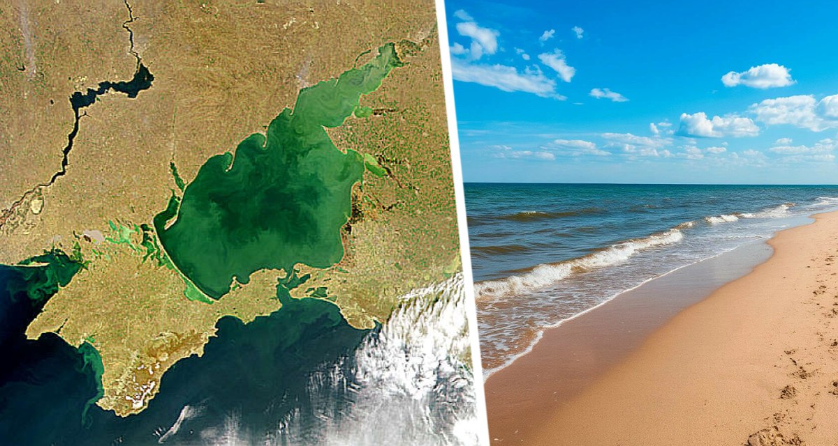 Азовское море как альтернатива Анапе: продажи туров выросли на 10-15% Азовское море туристы стали рассматривать как альтернативу Анапе после закрытия пляжей курорта. Продажи туров выросли на 10-15% - рассказали туроператоры для АТОР. Правда есть одна проблема - «влезут ...  Ссылка на новость:
