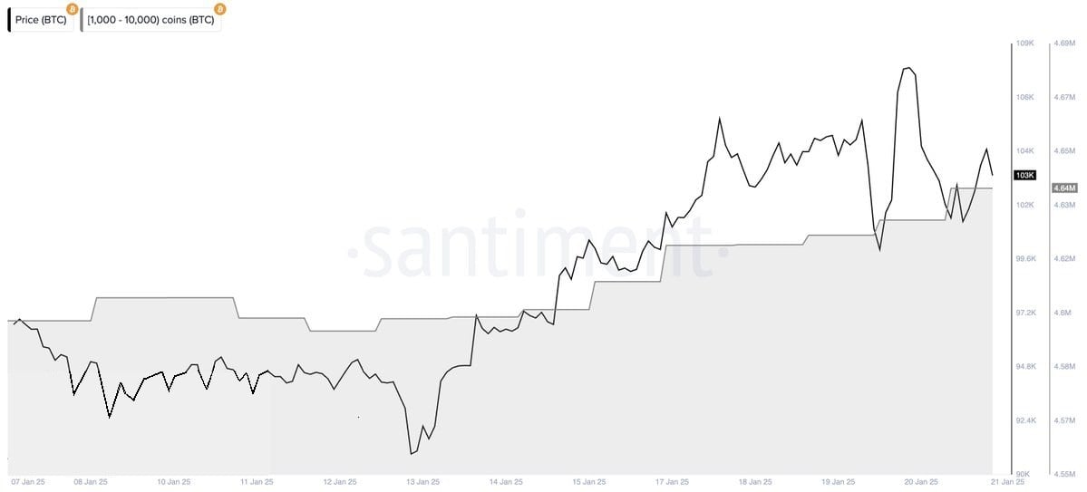 #Bitcoin. Краткосрочные держатели $BTC начинают продавать с убытком. Аналитик - «Исторически сложилось так, что когда показатель SOPR становится отрицательным, это часто указывает на привлекательные точки входа в для долгосрочных держателей»   Тем временем киты за последние 72 часа купили более 22 000 #Bitcoin на сумму более 2,24 миллиарда долларов.    Торгуем на Bybit     Торгуем на BingX      Pro Energy