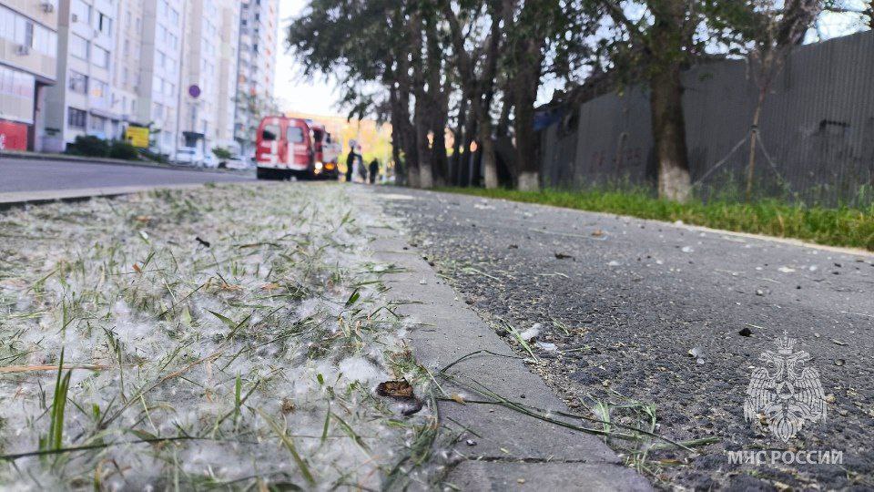 Челябинск горит из-за поджигателей тополиного пуха За неделю из-за горящего пуха случилось 113 пожаров. Мэр Алексей Лошкин поручил усилить его проливку. По словам главы города, проблема в том, что многие люди просто не знают, насколько опасно поджигать тополиный пух. Он заявил, что нужно напомнить об этом жителям, а особенно детям. «Пусть родители обратят внимание детей, что нельзя так делать», - высказался мэр.