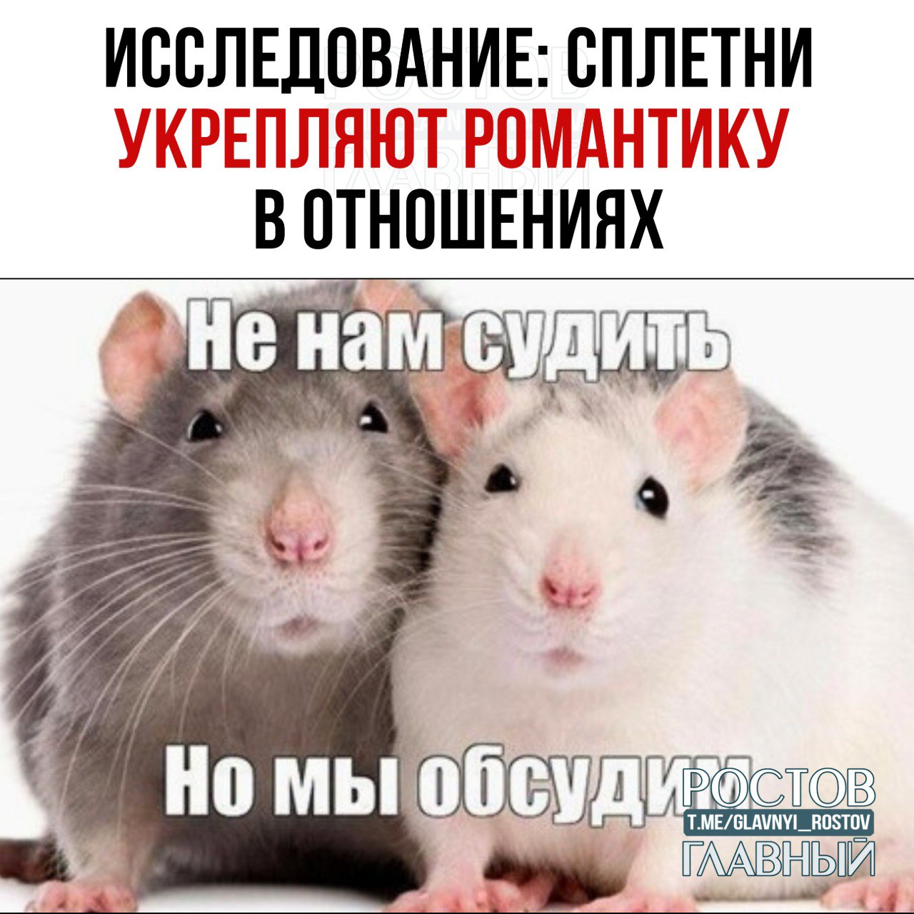 Сплетни укрепляют романтику в отношениях, — исследование.  В ходе исследования учёные прослушивали ежедневные разговоры пар — оказалось, каждая пара сплетничает примерно по 30 минут в день.  Пары, которые чаще сплетничают, сообщили о большей удовлетворённости отношениями.        Присылайте ваши фото/видео/новости мне в лс