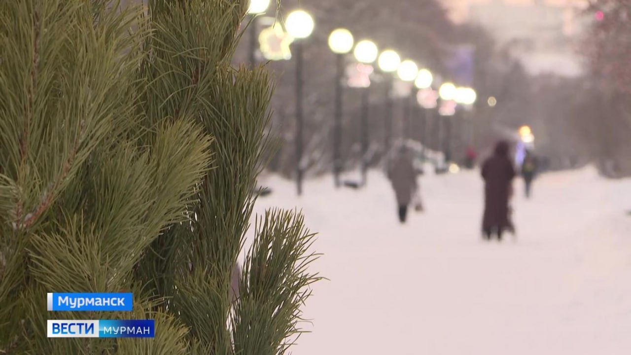 Северянам рассказали как правильно утилизировать живую новогоднюю ель Перед началом утилизации с елки необходимо снять все игрушки и мишуру Елку следует вынести на площадку для крупногабаритного мусора Выбрасывать дерево в контейнеры для мусора запрещено поскольку это может привести к поломкам мусоровоза пояснили в минприроды Мурманской области Все праздничные деревья собранные в северной технологической зоне Мурманской области транспортируют в Экотехнопарк в Междуречье После измельчения их используют в качестве топлива для местной котельной рассказали в профильном ведомстве Все самые важные новости Telegram MAX