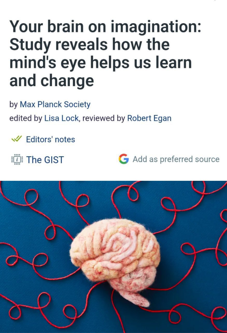 Вера в себя оказалась ключом к успеху выяснили нейробиологи Повторяя я справлюсь укрепляются нейронные связи к положительным результатам а у меня не получится к неудачам Каждая фраза меняет структуру серого вещества отмечают эксперты