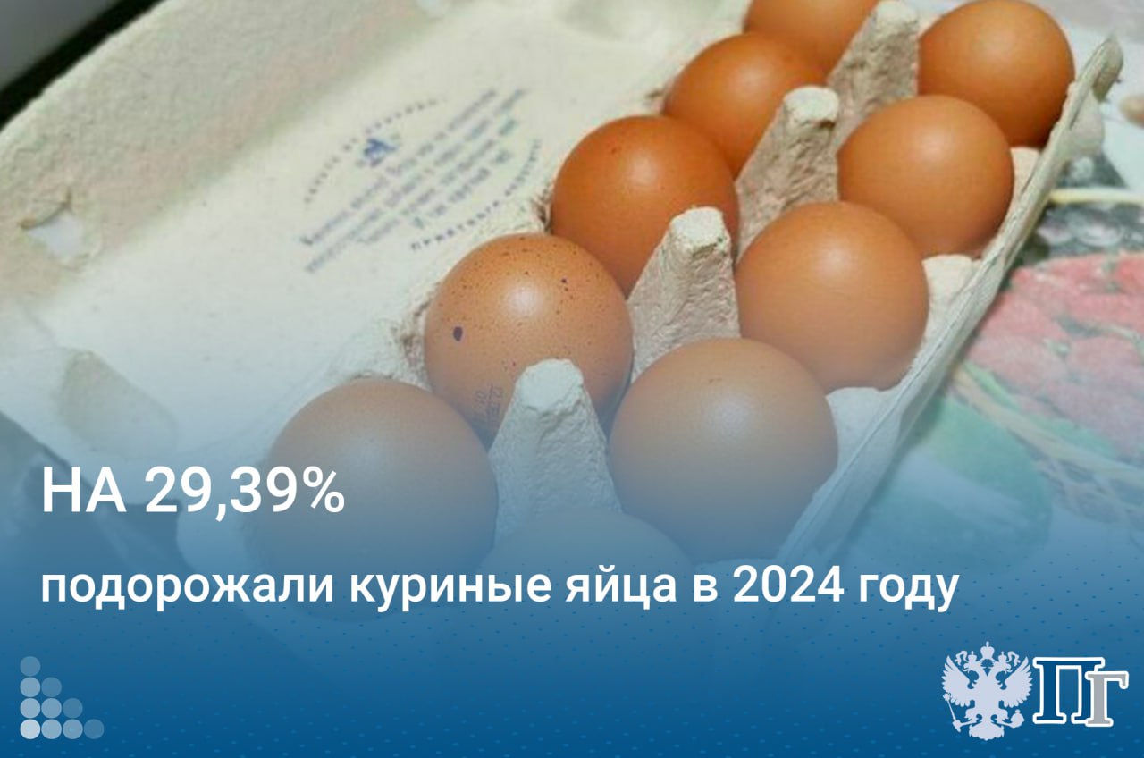 Куриные яйца подорожали на 29,39 процента в 2024 году, следует из подготовленной Росстатом оценки индекса потребительских цен.  Наибольший рост среди продуктов также зафиксирован на сливочное масло  +17,22% , овощи  +16,37% , мясо кур  +10,14% .  В декабре цены на продукты питания выросли на 2,81 процента. Среди плодоовощной продукции в декабре подорожали огурцы  +39,7% , помидоры  +17,7% , капуста  +10,4% .    Подписаться на «Парламентскую газету»