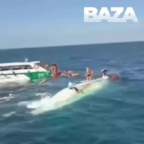 Крушение катера с туристами в Таиланде: 11 пострадавших, одна жертва