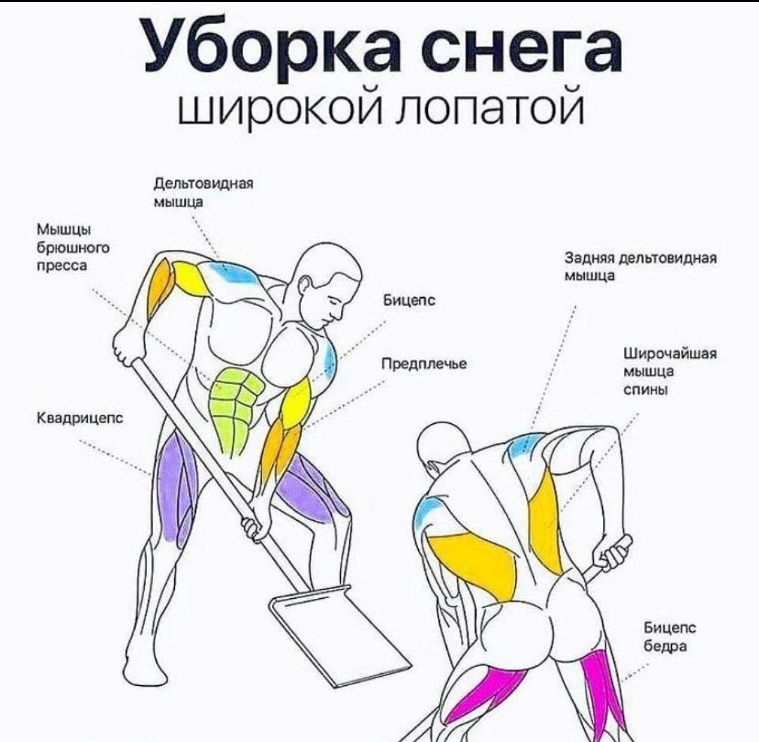 При расчистке снега можно сжечь 550 ккал час Уборка снега это интенсивная функциональная работа силовые движения подъём и перенос снега повторяющиеся наклоны и приседания работа на выносливость терморегуляция на холоде