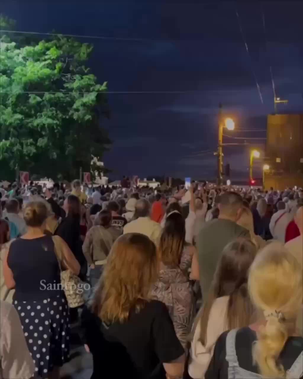 В Петербурге пройдет звуковое шоу «Поющие мосты» в честь 226-летия Пушкина
