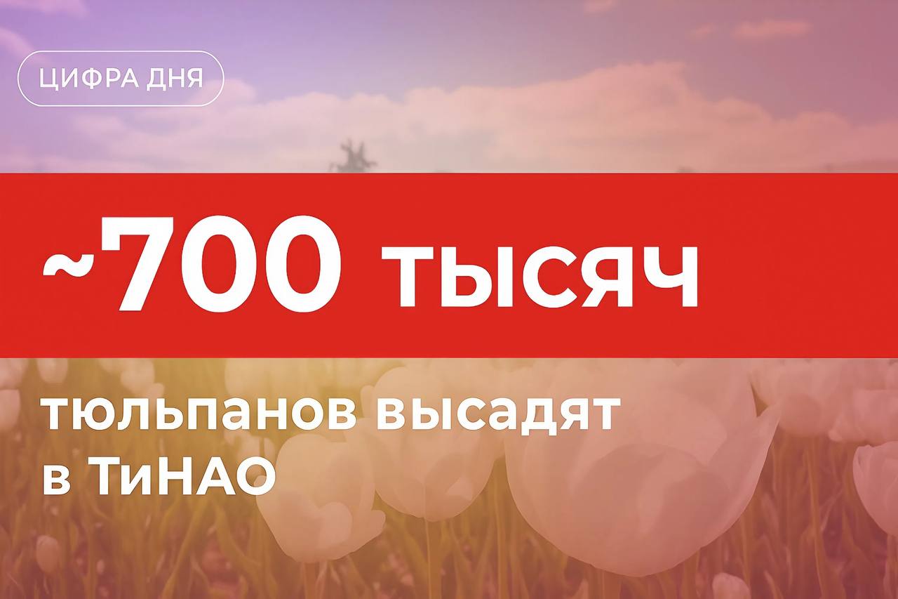Около 700 тыс тюльпанов высадят в ТиНАО до наступления морозов Это нужно чтобы луковицы успели укорениться до прихода холодов и распустились к майским праздникам Весной эти цветы будут украшать улицы набережные площади скверы парки и общественные пространства
