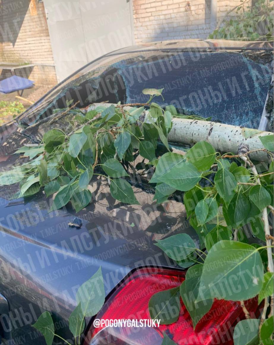 В Кургане чиновники заплатят почти миллион за дерево, упавшее на авто. Тополь рухнул на Toyota Avensis на территории местного ДТЮ «Радуга» подвед администрации города . Как сообщил источник ПиГ, пострадавшему водителю удалось добиться компенсации через суд. «Иск удовлетворен в полном объеме — 833 тысячи рублей взысканы с учреждения, а при их недостатке ответственность понесёт мэрия. Ремонт, экспертизу и госпошлину оплатят из городского бюджета», - говорит инсайдер. Главный политический канал Урала