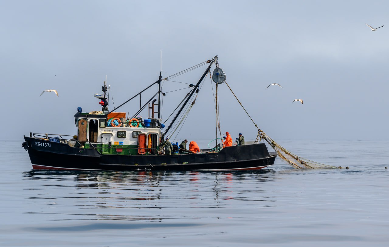 Михаил Мишустин дал поручения по итогам совещания Президента с членами Правительства о развитии рыбохозяйственного комплекса Минсельхозу Минфину Минпросвещения Минздраву Росрезерву Роспотребнадзору и ряду других ведомств необходимо представить предложения по увеличению объемов закупок рыбной продукции для государственных и муниципальных нужд в том числе для школьного питания и здравоохранения Минсельхозу Минтрансу Минфину Росрыболовству вместе с РЖД при участии регионов Дальнего Востока поручено проработать вопрос увеличения объемов перевозки рыбной продукции железнодорожным транспортом из регионов ДФО в центральную часть России Минвостокразвития Минтранс Минсельхоз и Росрыболовство совместно с госкорпорацией Росатом должны проработать вопрос увеличения объемов перевозки рыбной продукции по Северному морскому пути Росрыболовство Минсельхоз Минпромторг и Минтранс должны представить предложения по повышению эффективности осуществления рыболовства в Каспийском море Минпромторг совместно с Крыловским государственным научным центром проведет анализ потребности в модернизации гидротехнических сооружений предприятий судостроительной отрасли Камчатского края задействованных в строительстве и ремонте рыбопромыслового флота Подписаться на Правительство России в MAX