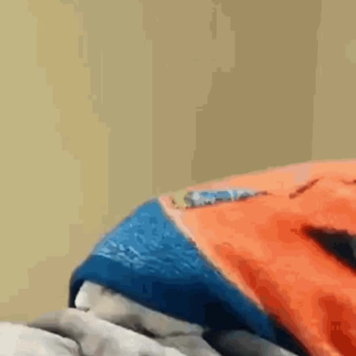 Эксклюзивные футболки и активные мероприятия на матчах РПЛ