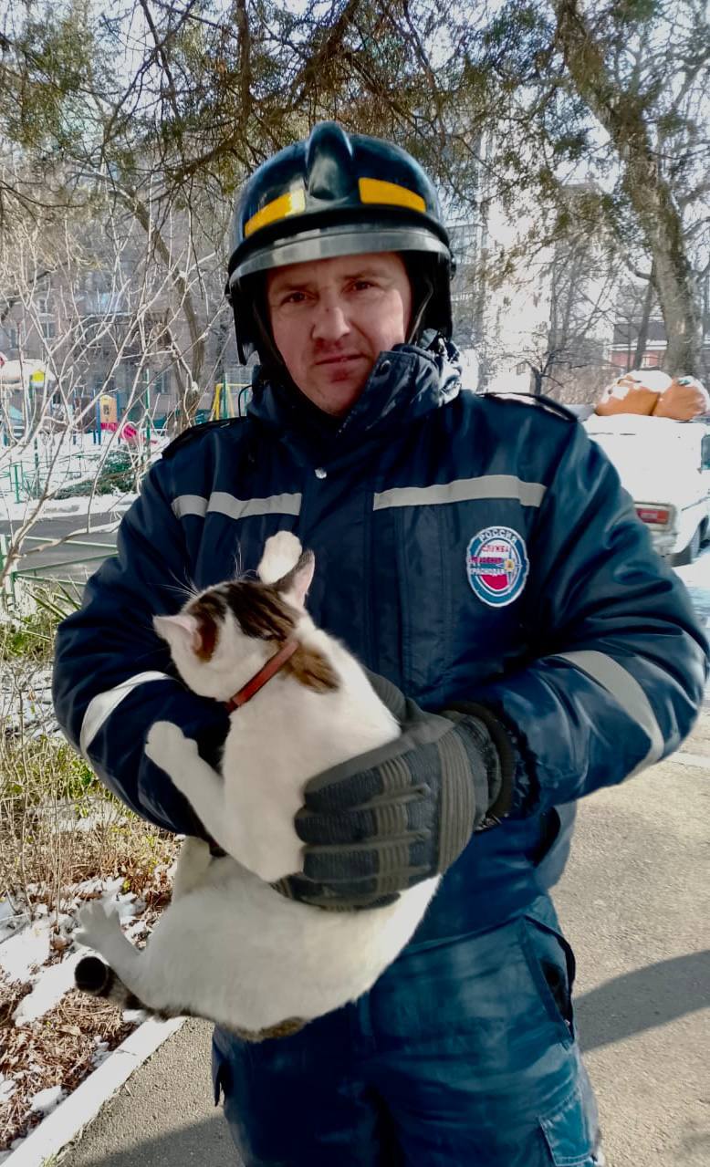 Кот несколько суток просидел на дереве в Краснодаре.  Кузьма решил разнообразить свои кошачьи будни: выпрыгнул из хозяйского окна на 1 этаже дома по Гагарина и забрался повыше.   Спасатели, приехавшие на вызов, не смогли дотянуться до пушистого даже на выдвижной лестнице. Тогда специалисты ЕДДС вызвали техническое подкрепление в виде вышки и сняли Кузьму, испуганного и замерзшего.