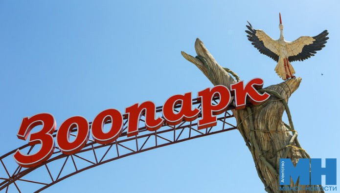 Минский зоопарк приглашает на образовательные среды 12 19 и 26 ноября Организаторы поделятся удивительными фактами о представителях фауны и расскажут как выбирали имена обитателям зоопарка Прогулка будет по открытой территории Время проведения экскурсий 13 00 сбор у центрального входа Минск Новости MINSKNEWS BY Telegram Viber FB VK Inst TikTok YouTube