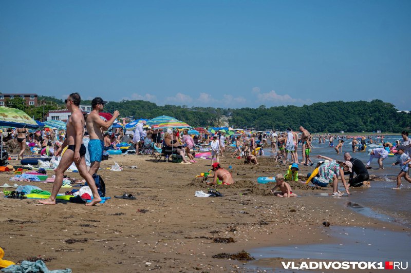 62 происшествия на воде зарегистрировано в Приморье с начала 2025 года В 10 случаях утонули дети, в связи с чем правительством края усилены меры по предотвращению трагедий, сообщается в пресс-службе регионального МинГОЧС. За последнюю неделю прошло 576 рейдов для выявления нарушений. В ходе проверок были оштрафованы родители 130 детей. Часть несовершеннолетних осталась без присмотра, а некоторые ребята до семи лет плавали без спасательных средств. Также для предотвращения трагедий установлены 49 мобильных спасательных постов, а добровольные пожарные формирования выезжают на пляжи для информирования граждан о правилах поведения на воде. Фото: