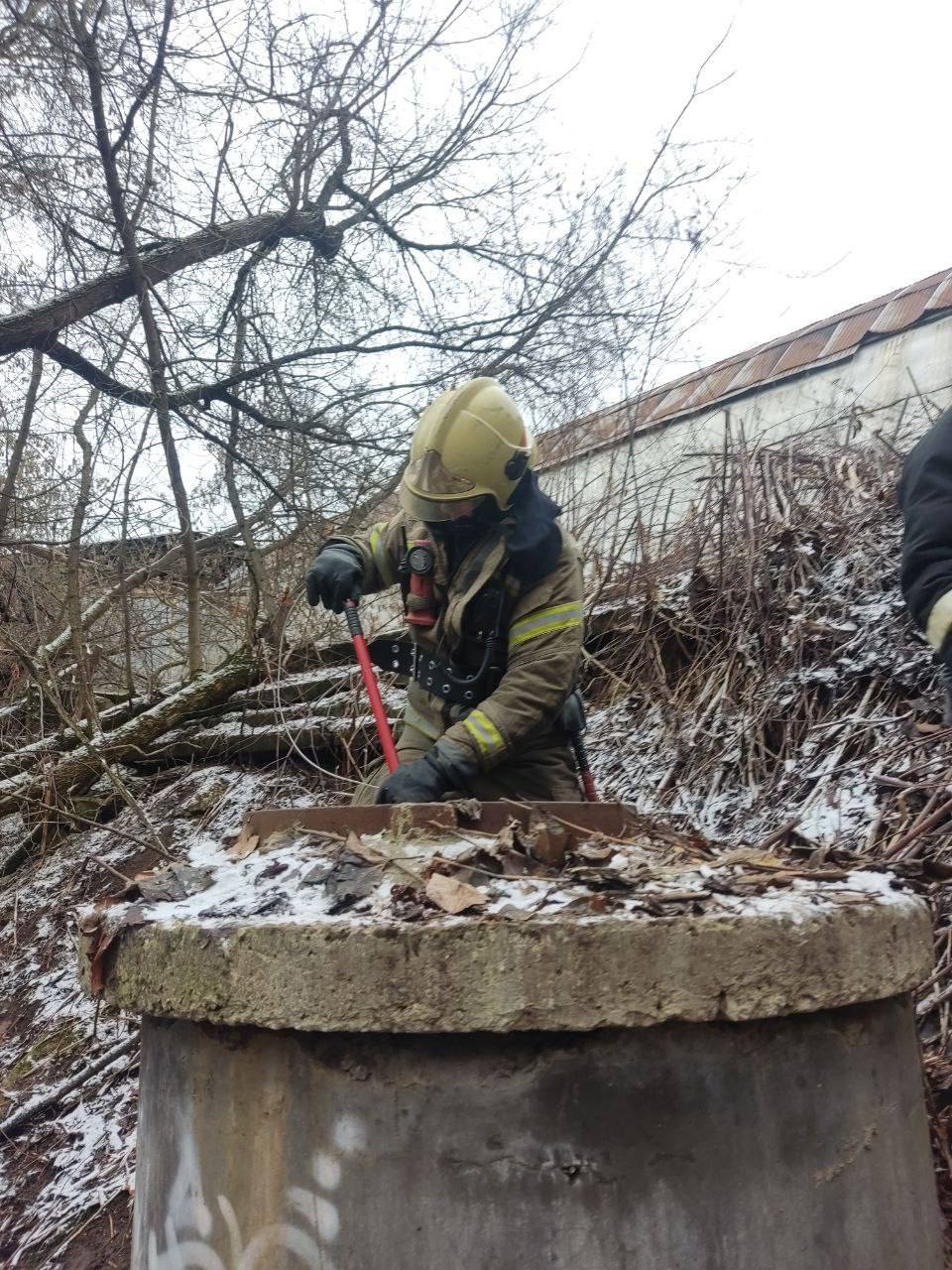 В Южном Тушино спасли собаку из четырехметрового коллектора  Собака оказалась в коллекторе по случайности и не могла выбраться. Свидетели происшествия вызвали службу «СпасРезерв», и спасатели быстро прибыли на место. Они спустились в коллектор и достали животное, но как только собака оказалась на поверхности, тут же сбежала. Местные жители заверили, что будут присматривать за ней.  Москва, на данный момент. Подписаться