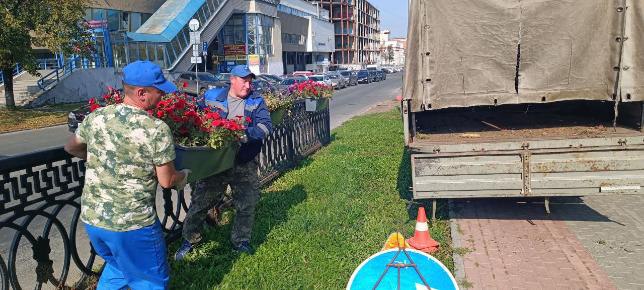 В Челябинске убирают кашпо с петуниями   Всего в городе этим летом разместили 2700 кашпо с цветами.