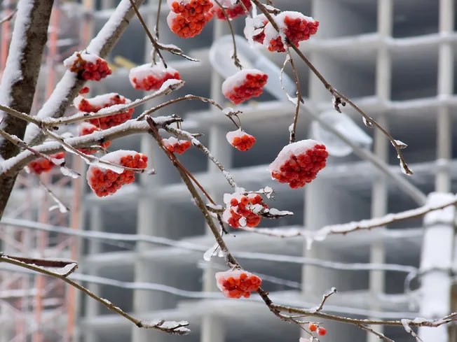 Квартиры в сданных новостройках в крупных городах России от застройщиков сейчас дороже предложений от покупателей инвесторов только на 6 За год разрыв сократился на 14 3 из за стремления девелоперов быстрее продать остатки Предложение от застройщиков в приоритете у покупателей благодаря программам рассрочки и стремлению заключить более прозрачные сделки Сложившаяся ситуация может привести к снижению инвестиционного спроса на новостройки jkinvest news jkinvest