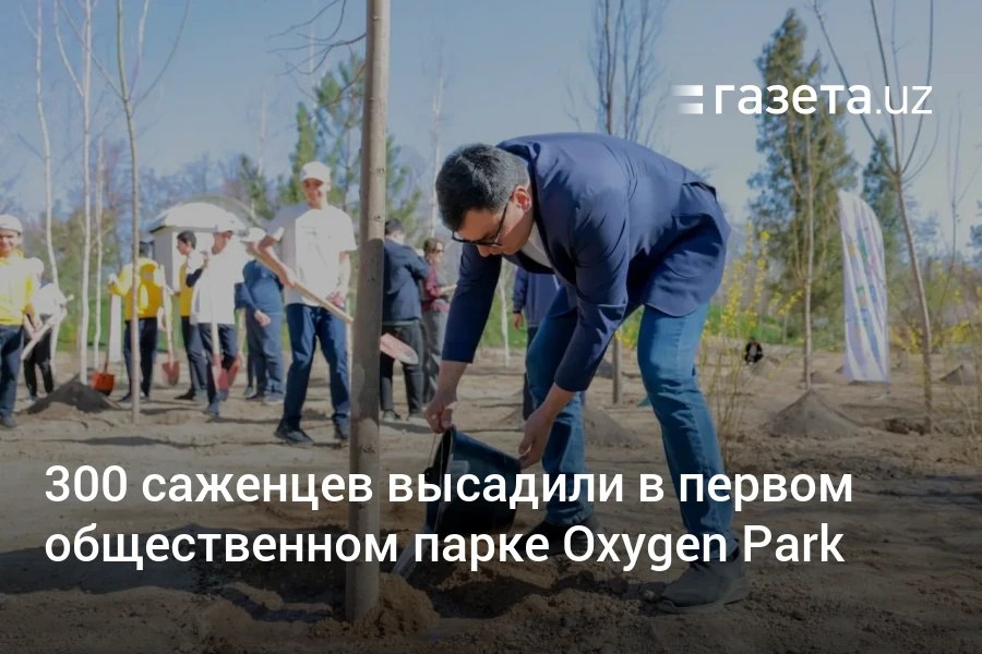 В первом общественном парке Ташкента Oxygen Park высадили 300 саженцев деревьев. Открытие парка запланировано на эту весну. Территория более семи лет была заброшенной. Это будет исключительно зелёный парк без аттракционов и пунктов общепита. Фото.     Telegram     Instagram     YouTube