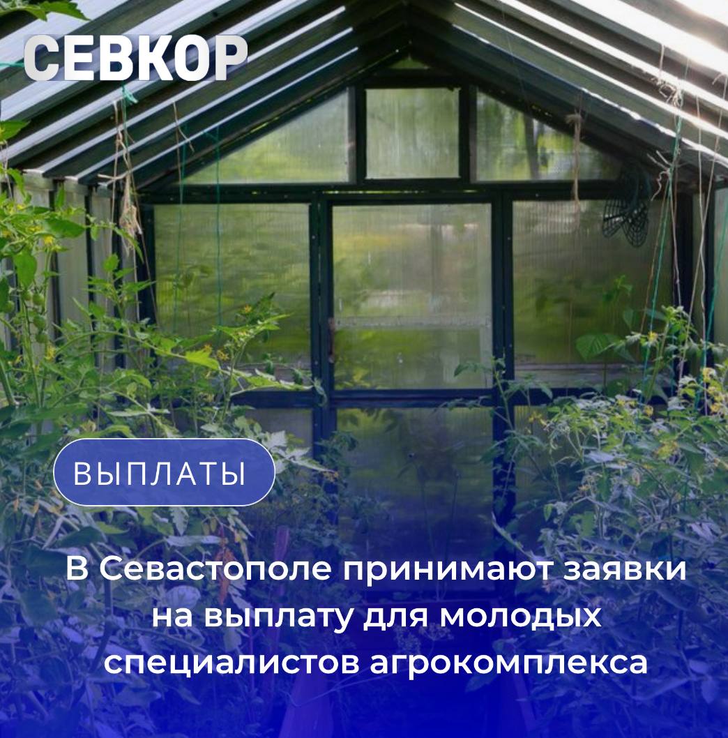 В Севастополе принимают заявки на выплату для   молодых специалистов агрокомплекса  С 11 по 20 августа стартует прием заявок на единовременную выплату для молодых специалистов, трудоустроившихся в агропромышленный комплекс Севастополя.   Участниками могут стать граждане до 35 лет с профильным средним или высшим образованием, которые устроились на работу в местный АПК в течение трех лет после выпуска и обязуются отработать не менее трех лет после получения выплаты.  Размер поддержки зависит от уровня образования: специалисты с высшим образованием получат 250 тысяч рублей, с средним профессиональным — 200 тысяч рублей.  Полный список необходимых документов опубликован на сайте департамента сельского хозяйства и потребительского рынка Севастополя.  Эта мера призвана стимулировать привлечение молодых квалифицированных кадров в агросферу города и поддержать их адаптацию на новом рабочем месте.   Читайте Севкор
