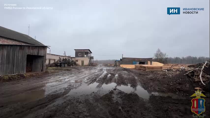 В Ивановской области задержаны шесть человек за незаконную рубку леса с ущербом свыше 5 миллионов рублей