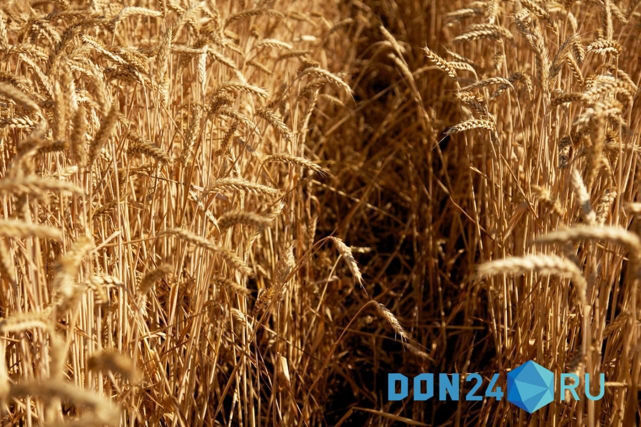 В Ростовской области аграриям пролонгируют льготные кредиты Минсельхоз России принял решение продлить срок льготных краткосрочных кредитов до одного года для донских аграриев привлекавших средства на растениеводство Об этом сообщает пресс служба Правительства Ростовской области Мера стала ответом на многочисленные обращения губернатора региона Юрия Слюсаря в федеральные органы по поддержке производителей пострадавших в 2025 году от заморозков и почвенной засухи Решение о пролонгации вступило в силу 12 ноября 2025 года Для получения отсрочки заемщикам необходимо предоставить в банк следующий пакет документов справку министерства сельского хозяйства Ростовской области подтверждающую ущерб причиненный чрезвычайной ситуацией федерального характера и отсутствие региональной компенсационной поддержки справку уполномоченного банка о невозможности погашения основного долга и процентов а также справку кредитной организации об отсутствии средств на депозитах и или об отсутствии иных финансовых инструментов ИА ДОН 24 Отправить новость