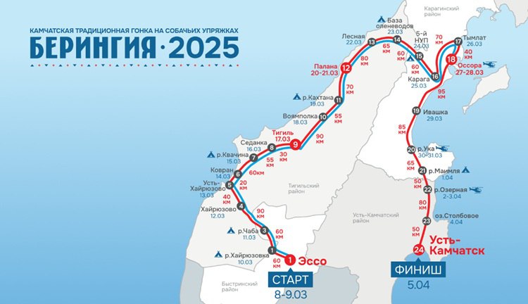 Стартовала легендарная «Берингия-2025»  10 марта в селе Эссо на Камчатке началась одна из самых зрелищных гонок планеты — «Берингия». В этом году каюры соревнуются в двух категориях: до Оссоры  1005 км  и до Усть-Камчатска  1425 км .  Из 12 заявленных участников на старт вышли 10. Двое — Андрей Притчин и София Яганова — снялись с гонки: Притчин по состоянию здоровья, а Яганова по личным причинам.  Каюры управляют упряжками из 8–14 собак, преодолевая сотни километров по снежным просторам Камчатки. Финиш запланирован на 5 апреля в Усть-Камчатске, где определят победителей.  Следить за гонкой можно в режиме реального времени! На сайте «Берингии» благодаря GPS-маячкам видно, кто лидирует, с какой скоростью движутся участники и сколько километров они уже преодолели.  «Берингия» — это не просто гонка, это испытание на прочность для людей и собак, а также уникальная возможность увидеть красоту Камчатки.    Подробнее читайте на нашем сайте.