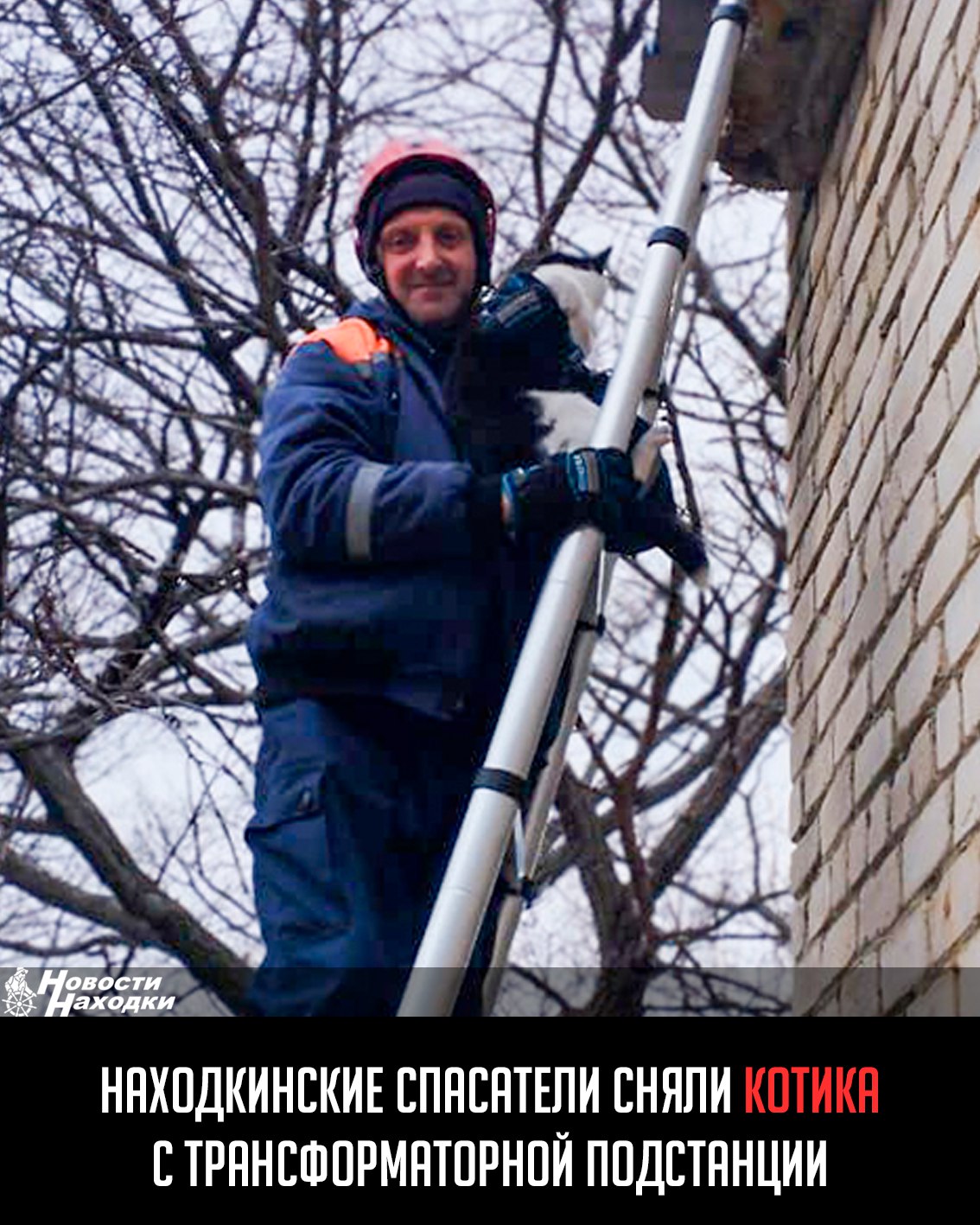 В выходные находкинские спасатели управления по делам ГО и ЧС были вызваны на помощь: на трансформаторной подстанции в районе улицы Бабкина застрял домашний кот. Животное забралось на конструкцию высотой несколько метров и уже двое суток не могло с неё слезть. Спасатели оперативно прибыли на место и, несмотря на сложности, успешно сняли кота с подстанции. Они передали его представительнице хозяйки, которая очень переживала за своего любимца. По словам женщины, вызвавшей спасателей на фото , кот принадлежит её маме, и она очень волновалась за его судьбу.