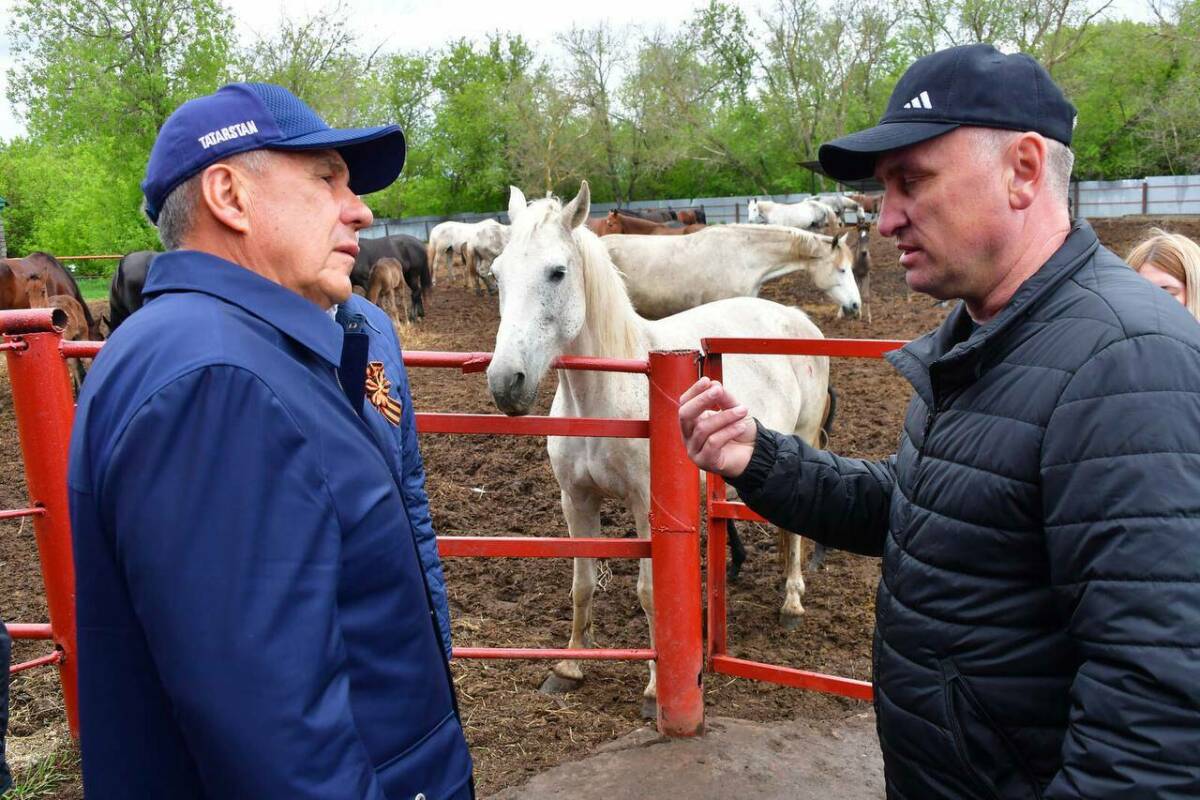 Рустам Минниханов посетил ферму, которая поставляет лошадей для кавалеристов Ким Чен Ына Раис Татарстана в Новошешминском районе республики побывал на находящемся в райцентре Татарском конном заводе №57. Об этом в Telegram-канале рассказала руководитель пресс-службы Раиса РТ Лилия Галимова. «Посещая Татарский конный завод #57 мы увидели фотографию … Ким Чен Ына. А причем здесь он, спросите вы? Как скромно поделился хозяин фермы, завод поставляет лошадей для кавалерийского полка лидера Северной Кореи. Такие удивительные дела!» – написала она. Также Галимова заметила, что на заводе разводят лошадей разных пород, причем самыми востребованными являются орловские рысаки.