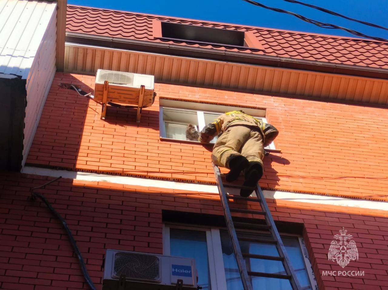 Прогулка удалась наполовину  В Ростове кот хотел подышать свежим воздухом, но застрял в оконном проеме. Жалобное мяуканье услышали соседи и позвонили спасателям.    Пожарные МЧС России по лестнице забрались на 3 этаж и пытались вытащить питомца. От испуга кот начал оказывать сопротивление и сам запрыгнул внутрь.    Нам важна каждая жизнь!