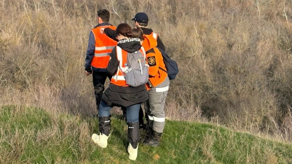 За неделю в Воронежской области пропало трое подростков За прошедшую неделю в поисково спасательный отряд ЛизаАлерт поступила 21 заявка 16 из них были закрыты со статусом Найден жив Двух человек доставили по месту проживания двое были госпитализированы Поиски одного человека продолжаются до сих пор В понедельник 24 ноября поступило два срочных сообщения на поиск двух подростков 14 и 16 лет Оба нашлись и вернулись домой самостоятельно Потерявшийся 15 летний подросток с особенностями развития вернулся домой сам Подписывайтесь на канал РИА Воронеж в Max