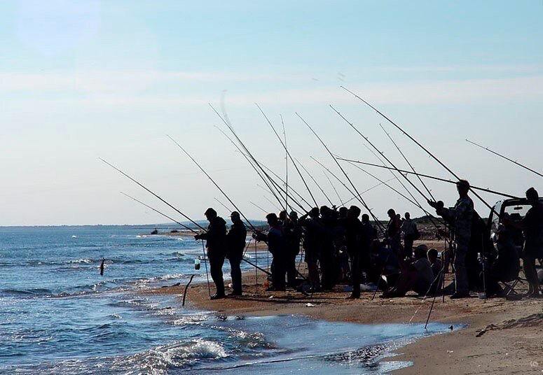 Вылов воблы в Каспийском море сократился в 60 раз  За последние десятилетия вылов воблы в Каспийском море снизился с 18 тысяч тонн в 1990 году до 0,3 тысячи тонн в 2024 году. В связи с этим был введен полный запрет на вылов воблы, который продлится и в 2025 году.  Запрет распространяется как на промышленный, так и на любительский лов во всех водоемах Астраханской области и Каспийского моря.