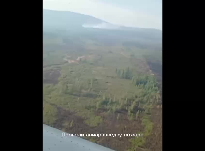 В Забайкалье продолжается борьба с крупным лесным пожаром в Хилокском районе