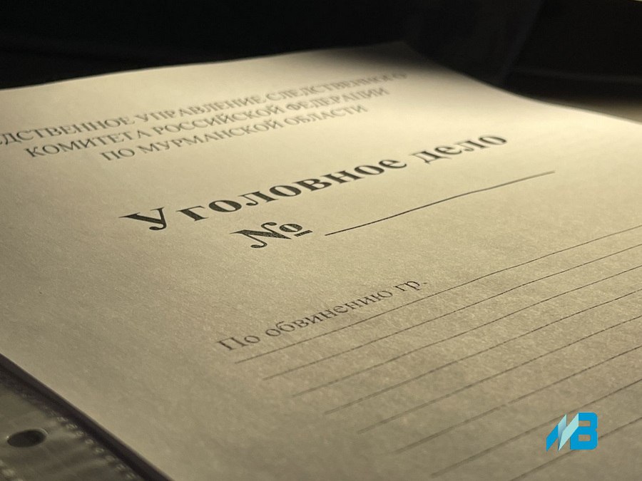 Перед судом предстанет 28-летний гражданин, избивший до смерти знакомого в Никеле  Они распивали спиртное в квартире, стали спорить и потом драться. Потерпевшему подозреваемый нанес десятки ударов по разным частям тела. Избитый смог уйти, но через три дня от полученных травм скончался в медучреждении.  В отношении подозреваемого возбуждено уголовное дело по статье «Причинение тяжкого вреда здоровью, повлекшего по неосторожности смерть потерпевшего». Оно направлено в суд.