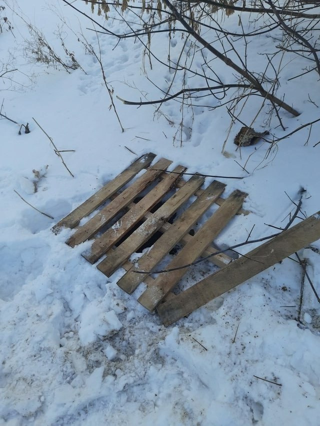 Уфимские спасатели достали собаку из двухметрового колодца  Вчера, 6 января, на улице Чапаева собака упала в заброшенный колодец. Очевидец, курьер, услышал скуление и вызвал спасателей, рассказывают в Управлении гражданской защиты города.  Спасатели быстро достали собаку из двухметрового колодца с помощью спецприспособления и выпустили ее. Колодец закрыли деревянным настилом и сообщили жилищным службам об опасном участке.   Моя Уфа. Подписаться   Прислать новость